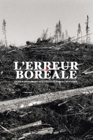 L'erreur boréale's poster