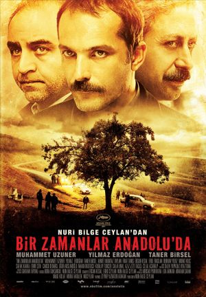 Once Upon a Time in Anatolia's poster