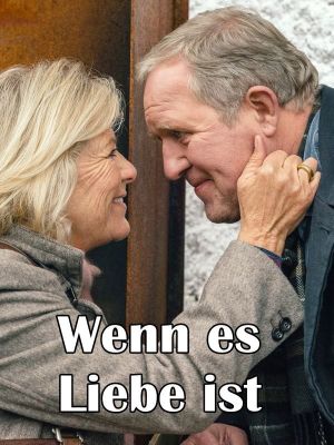 Wenn es Liebe ist's poster