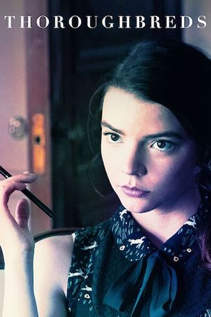 Thoroughbreds's poster