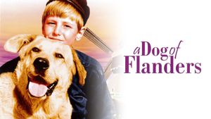 A Dog of Flanders's poster