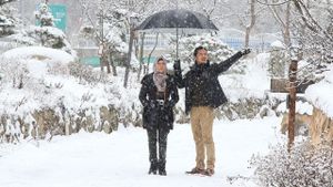 Jilbab Traveler: Love Sparks in Korea's poster