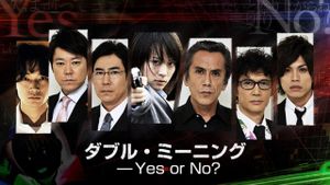Double Meaning: Yes or No?'s poster