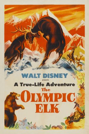 The Olympic Elk's poster