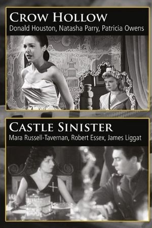 Castle Sinister's poster
