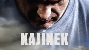 Kajínek's poster