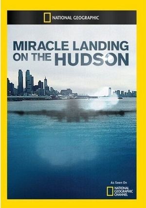 Miracle Landing on the Hudson's poster