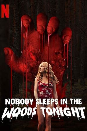 Nobody Sleeps in the Woods Tonight's poster
