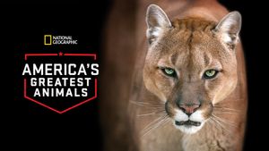 America's Greatest Animals's poster