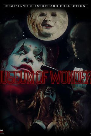 The Museum of Wonders's poster