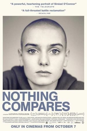 Nothing Compares's poster