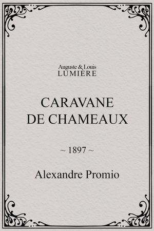 Caravane de chameaux's poster