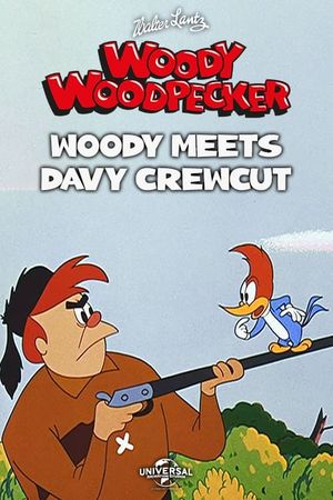 Woody Meets Davy Crewcut's poster