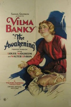 The Awakening's poster