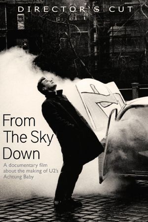 From the Sky Down's poster