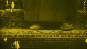 Shoes's poster