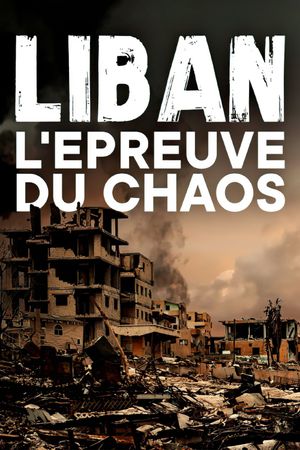 Lebanon in Crisis's poster