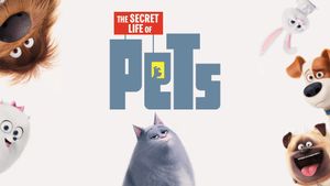 The Secret Life of Pets's poster