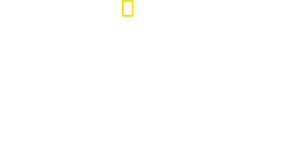 Nasca Lines Decoded's poster