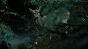 Twilight's poster