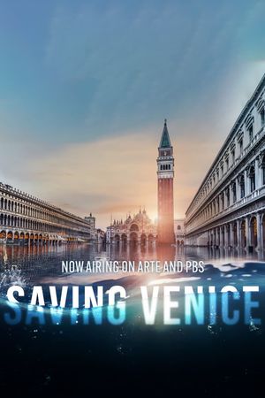 Saving Venice's poster image