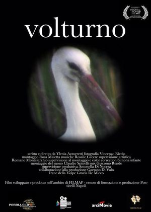 Volturno's poster