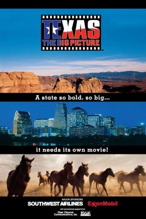 Texas: The Big Picture's poster
