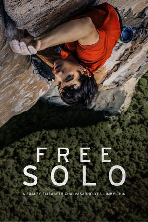 Free Solo's poster