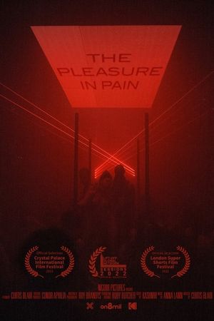 The Pleasure in Pain's poster