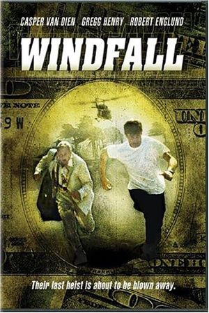Windfall's poster