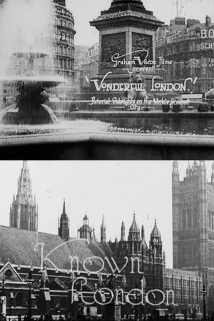 Wonderful London: Known London's poster