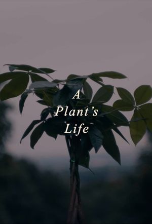 A Plant's Life's poster