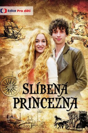 Slíbená princezna's poster