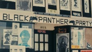Black Panthers's poster