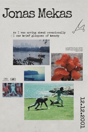 As I Was Moving Ahead Occasionally I Saw Brief Glimpses of Beauty's poster