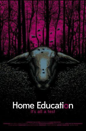 Home Education's poster image