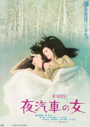 Woman on the Night Train's poster