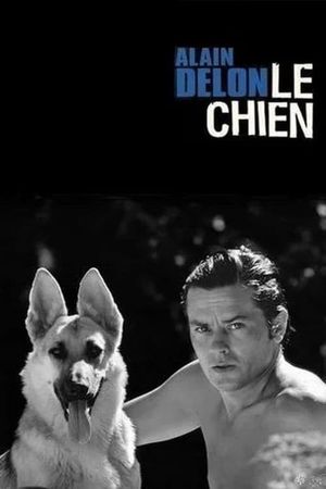 Le Chien's poster