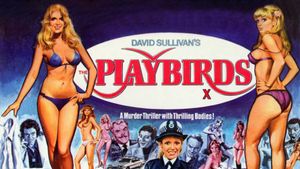 The Playbirds's poster