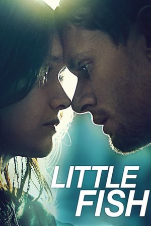 Little Fish's poster