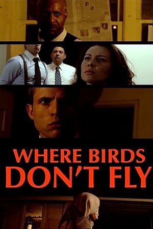 Where Birds Don't Fly's poster
