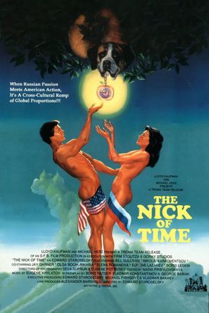 The Nick of Time's poster image