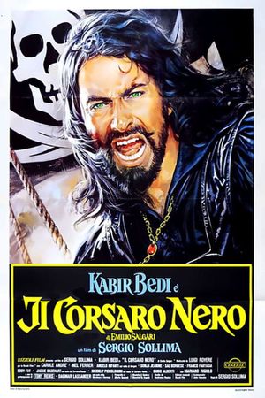 The Black Corsair's poster