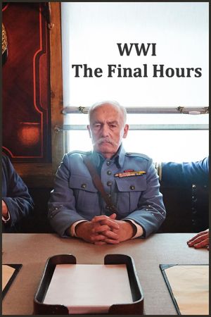 WWI: The Final Hours's poster image