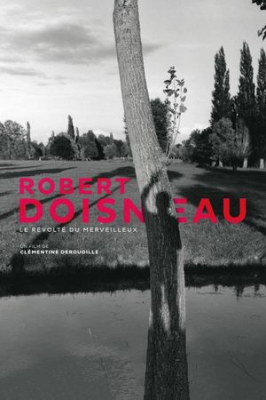 Robert Doisneau: Through the Lens's poster