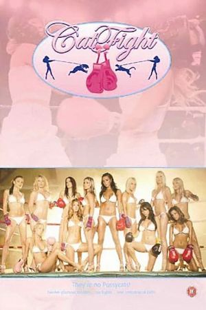 CatFight's poster