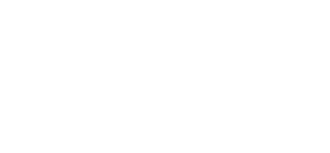 The NeverEnding Story II: The Next Chapter's poster