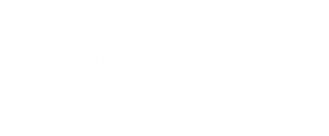 Undefeatable's poster