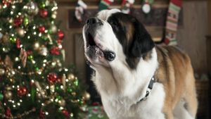 Beethoven's Christmas Adventure's poster