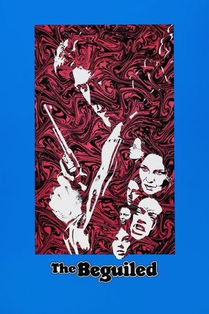 The Beguiled's poster